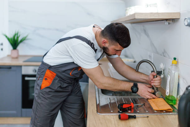 Best Emergency Plumber  in Lowell, MI